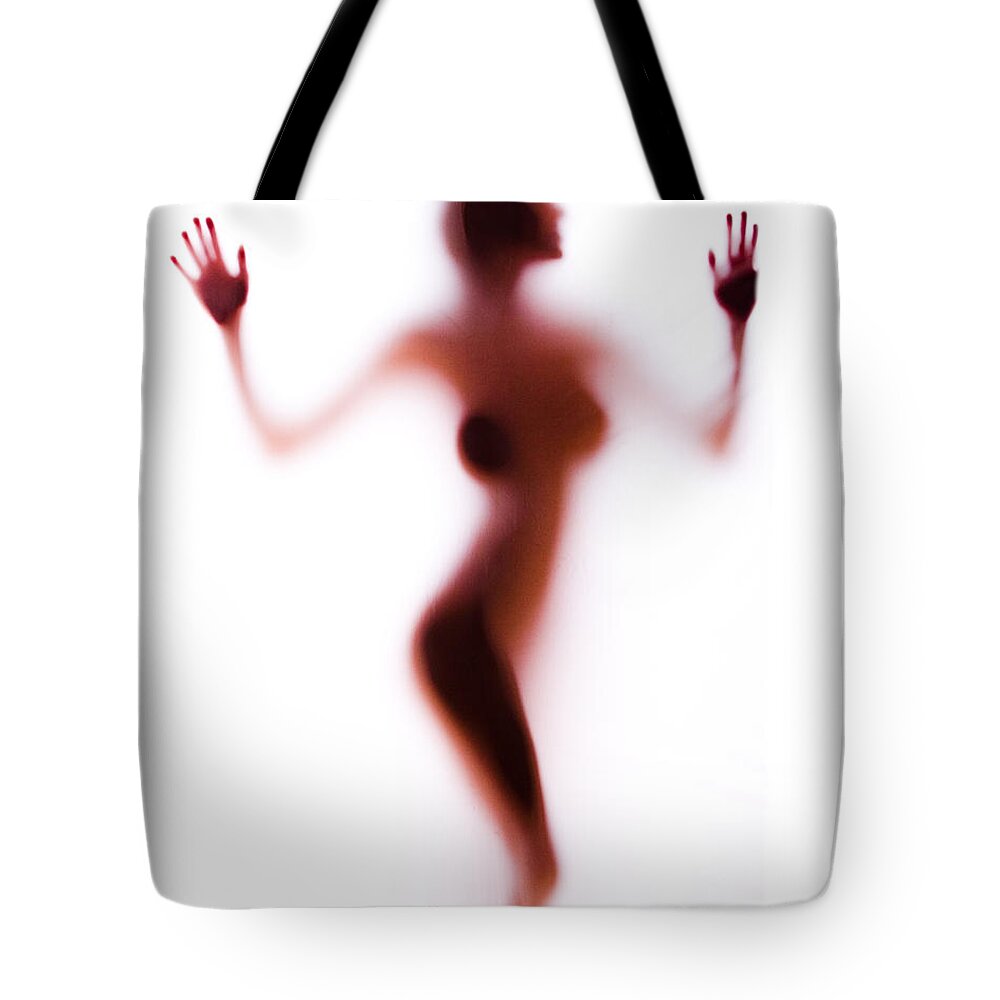 Silhouette Tote Bag featuring the photograph Silhouette 14 by Michael Fryd