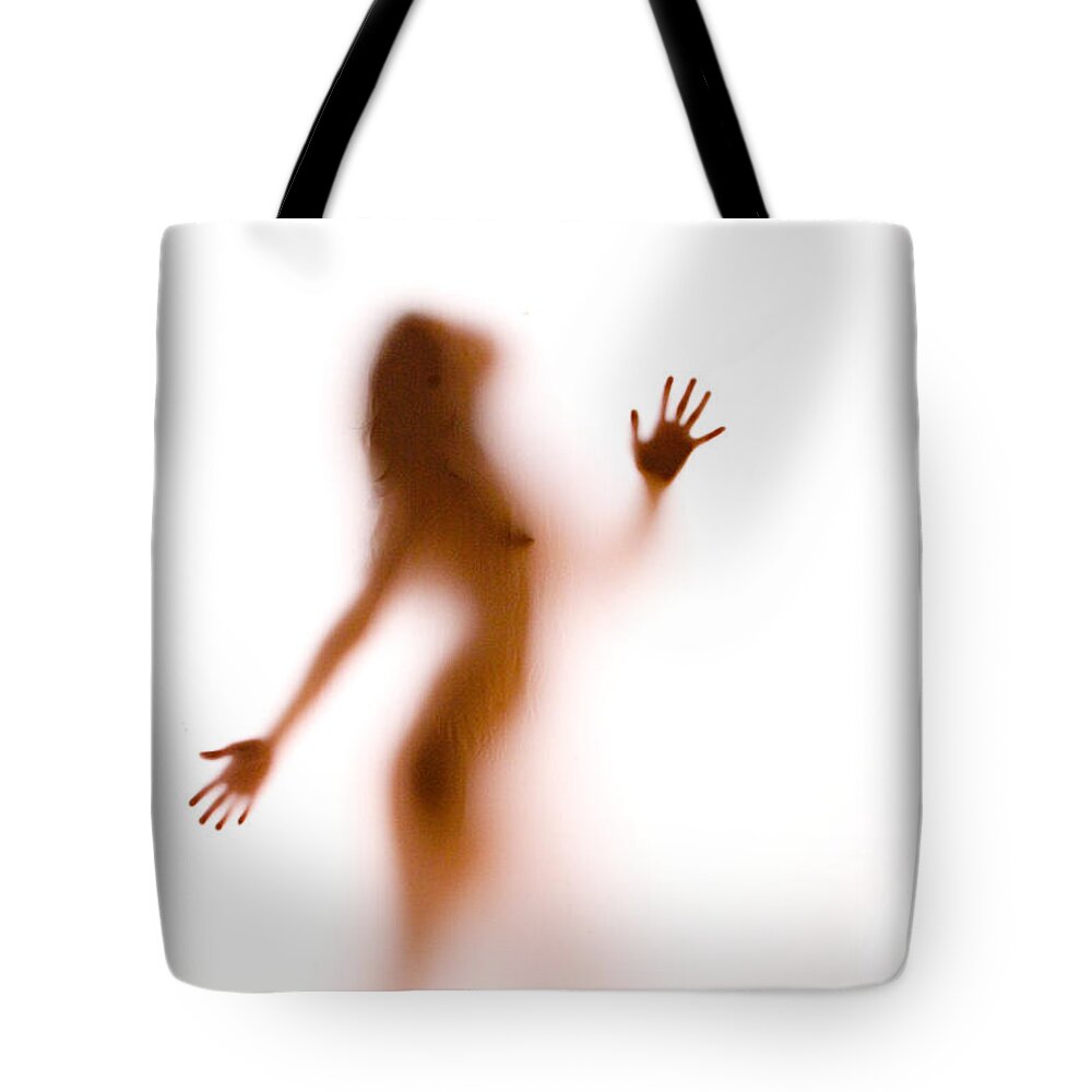 Silhouette Tote Bag featuring the photograph Silhouette 27 by Michael Fryd