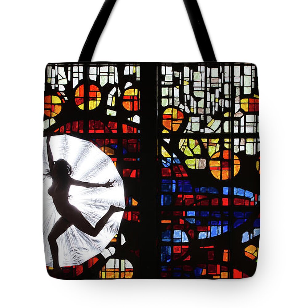 Silhouettes Tote Bag featuring the photograph Silhouette 321 PG by Michael Fryd