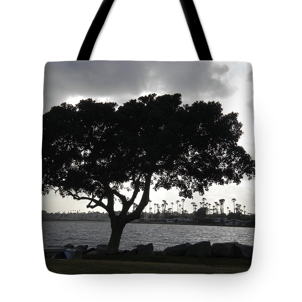 Mission Bay Tote Bag featuring the photograph Silhouette of Tree by Bridgette Gomes