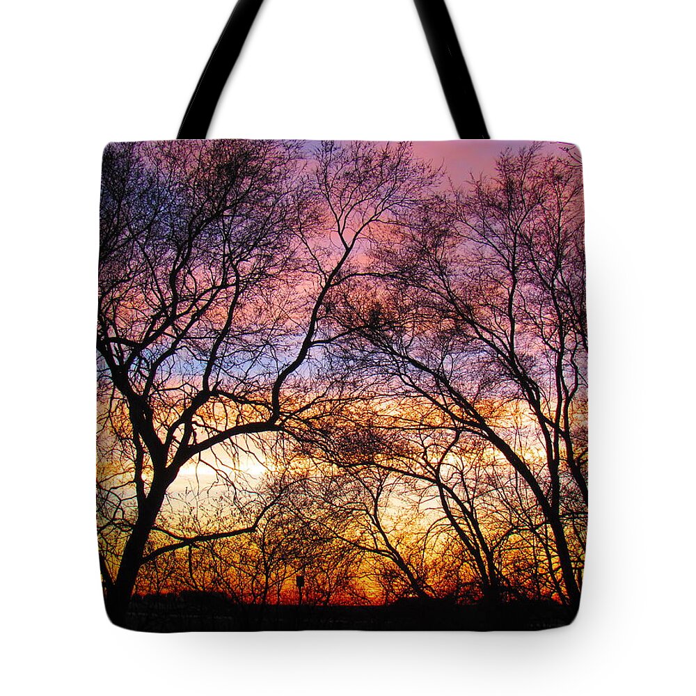 Photograph Tote Bag featuring the photograph Silhouette Sunset 43017 by Delynn Addams