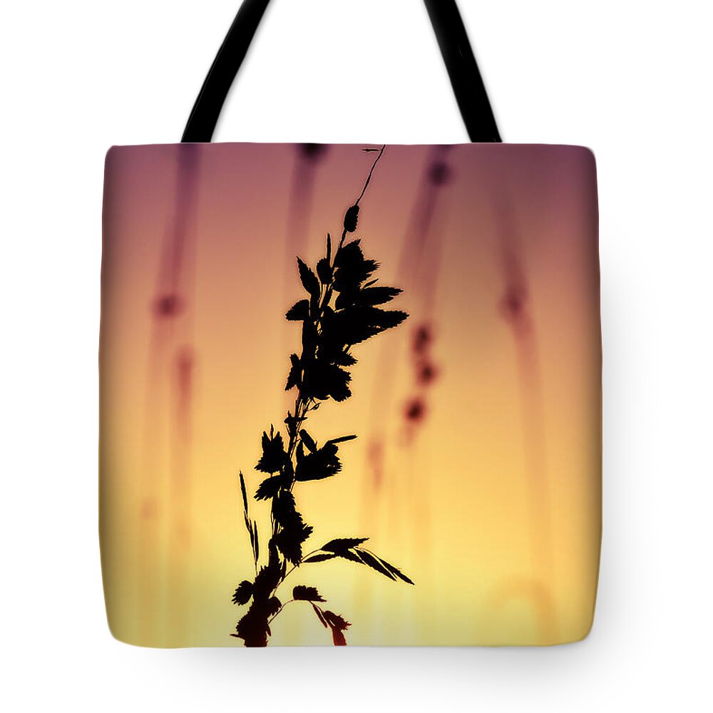 Sea Oats Tote Bag featuring the photograph Silhouetted Sunset Hues by Kelly Nowak