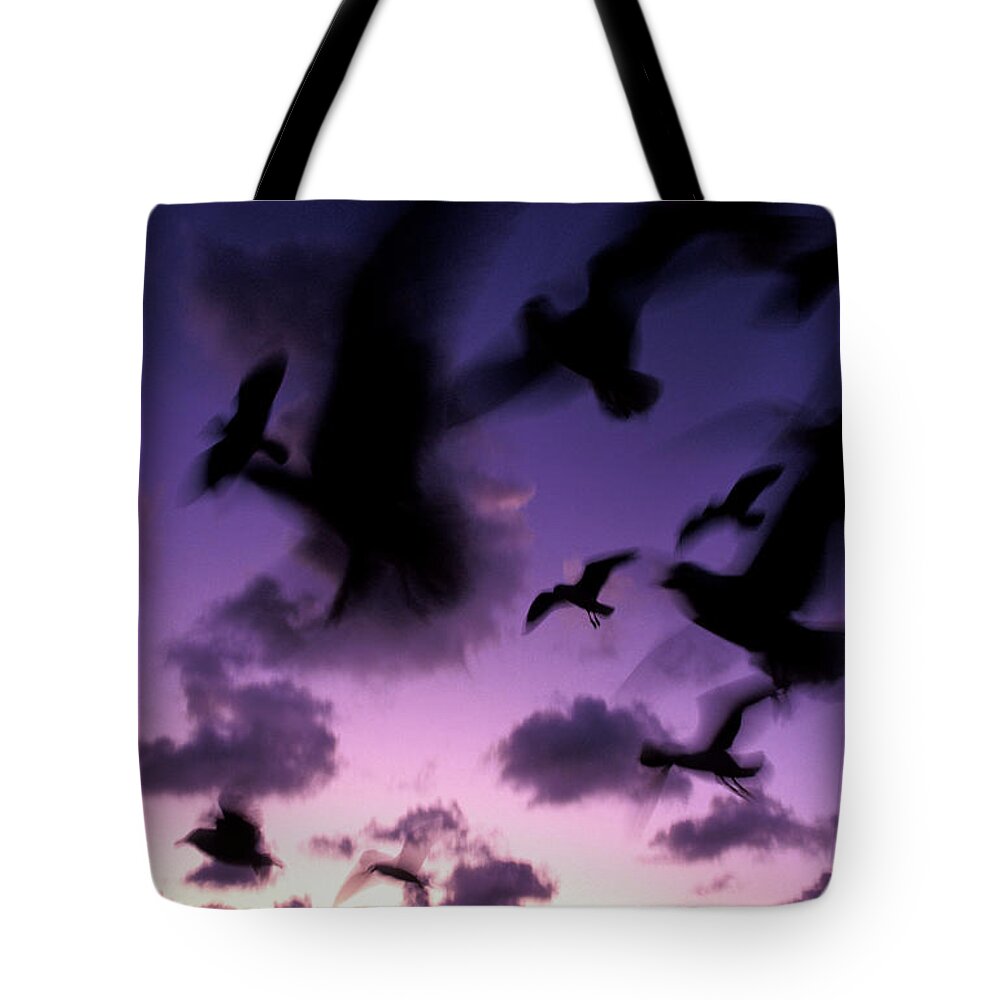 Silhouette Tote Bag featuring the photograph Silhouetted Gulls In Flight by Sean Davey