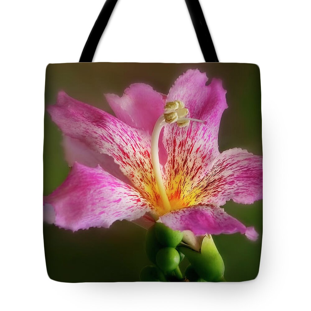 Ceiba Speciosa Tote Bag featuring the photograph Silk Floss Flower by Carol Eade