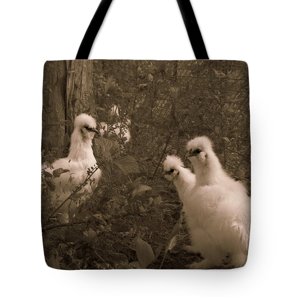 Chicken Tote Bag featuring the photograph Silkies by Fern Cardinal