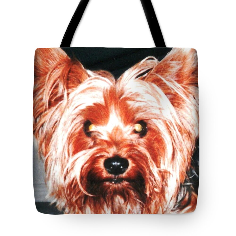 My #beautiful #teacup #yorkie In #naples #florida Tote Bag featuring the photograph Silky Sammie the Yorkie by Belinda Lee
