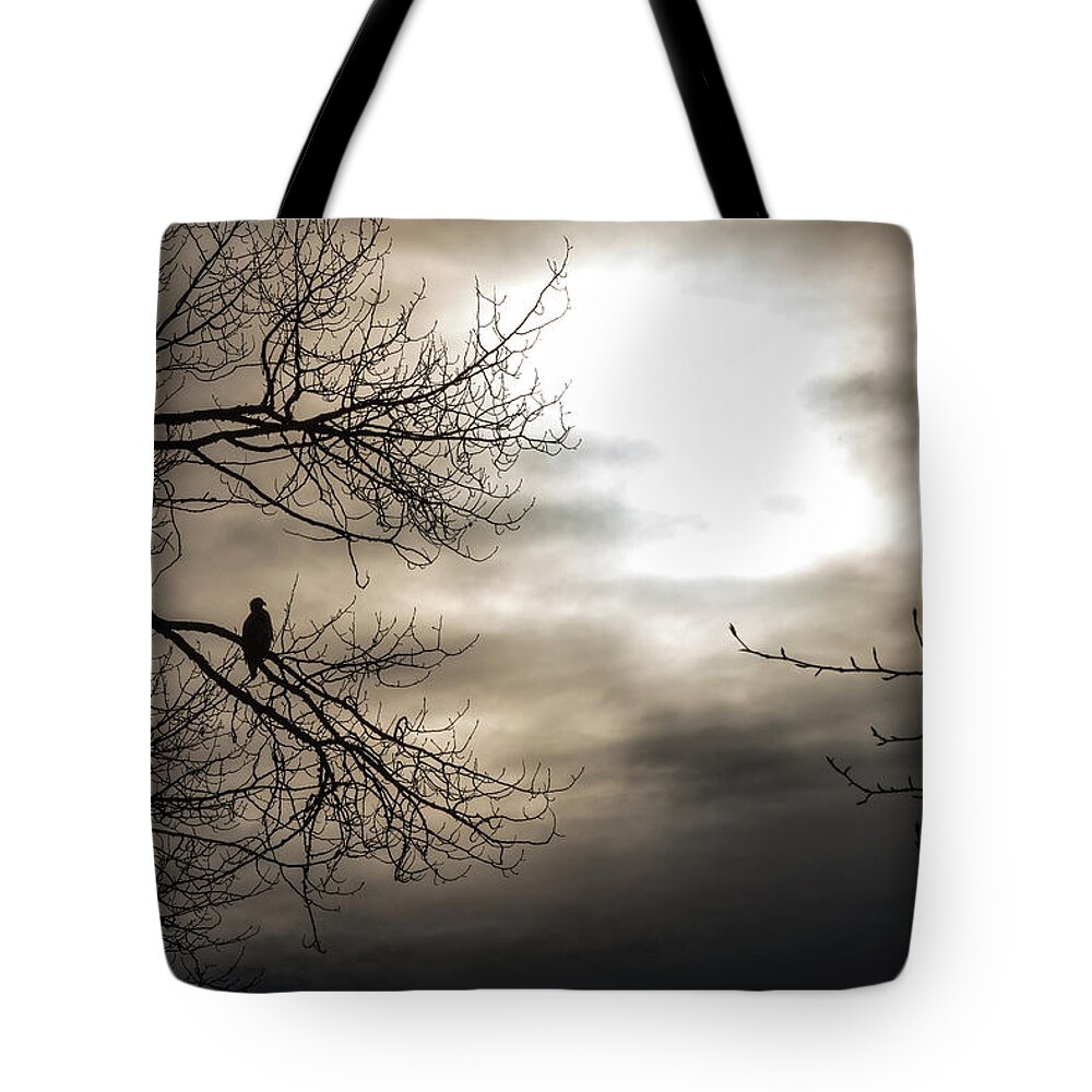 Bald Eagle Tote Bag featuring the photograph Sillouette by David Kirby