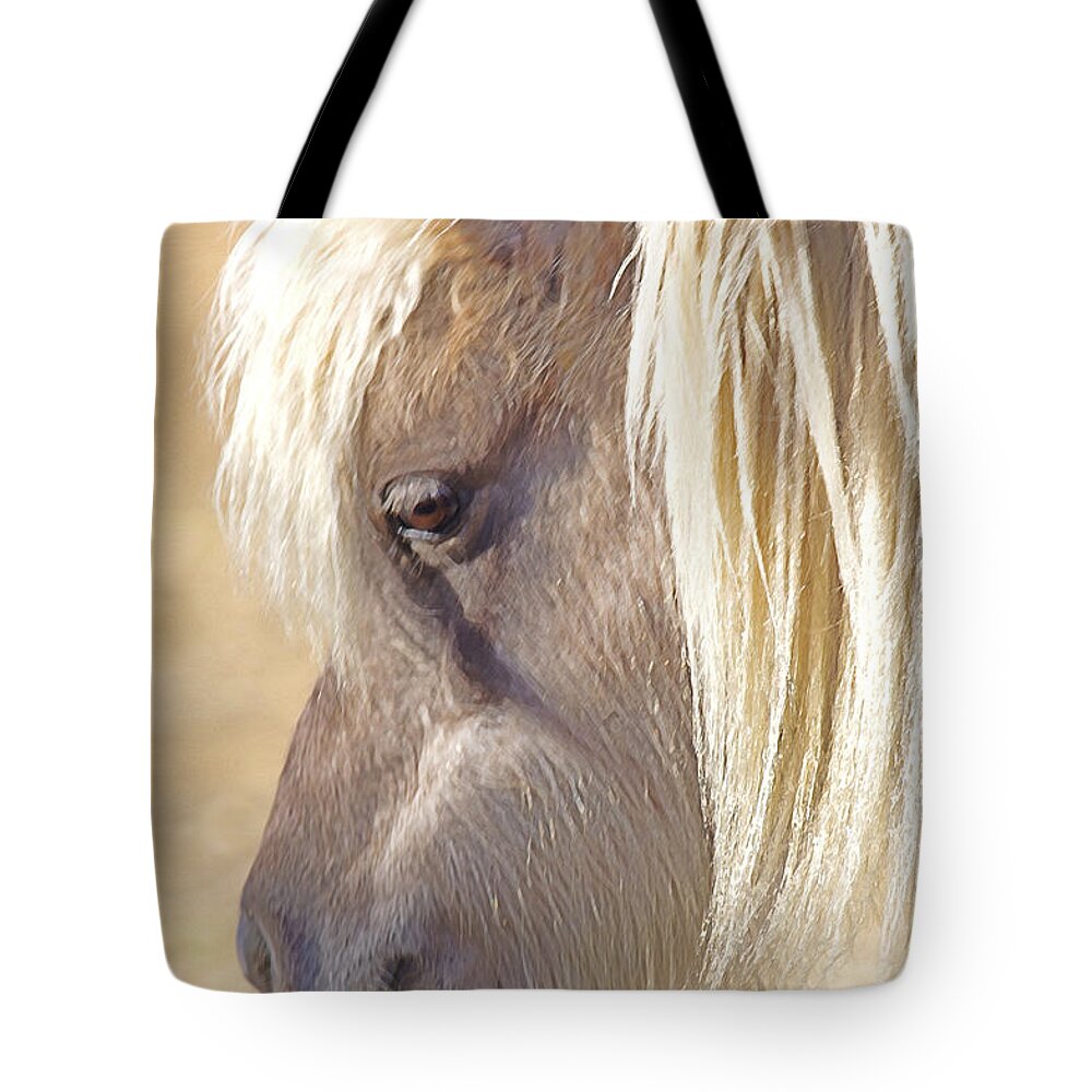  Wild Pony Tote Bag featuring the photograph Silver And Grey In Sunlight by Amanda Smith