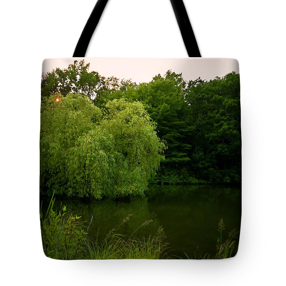 Silver Creek Summer Of 2015 Tote Bag featuring the photograph Silver Creek Summer of 2015 by Kris Rasmusson