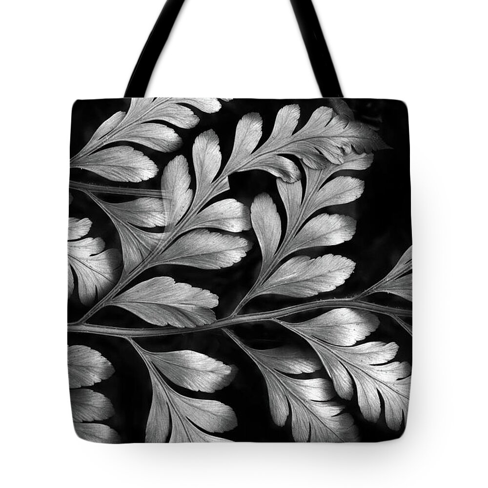 Fern Tote Bag featuring the photograph Silver fern by Jessica Jenney