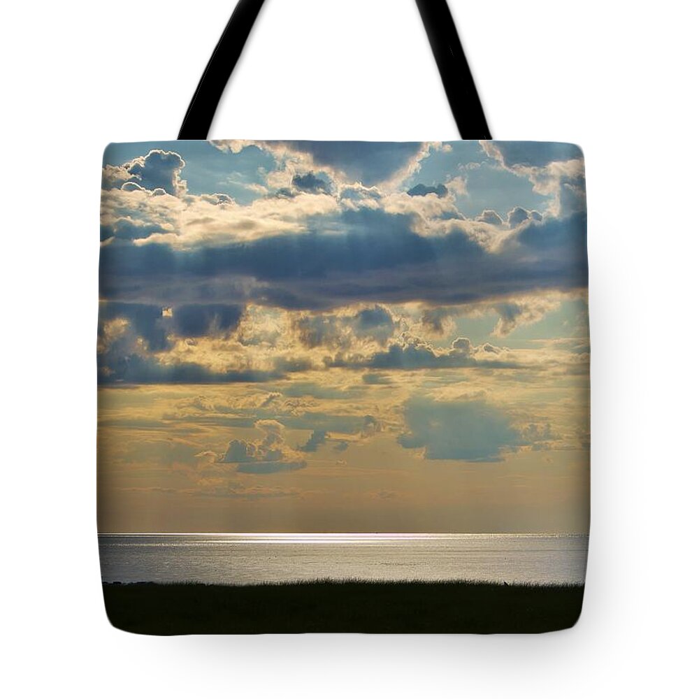 Silver Tote Bag featuring the photograph Silver Horizon by Marisa Geraghty Photography