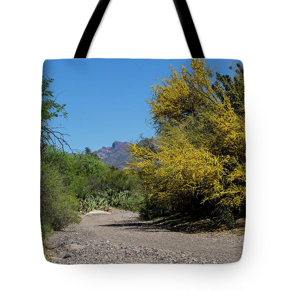 Arboretum Tote Bag featuring the photograph Silver King Wash by Kathy McClure