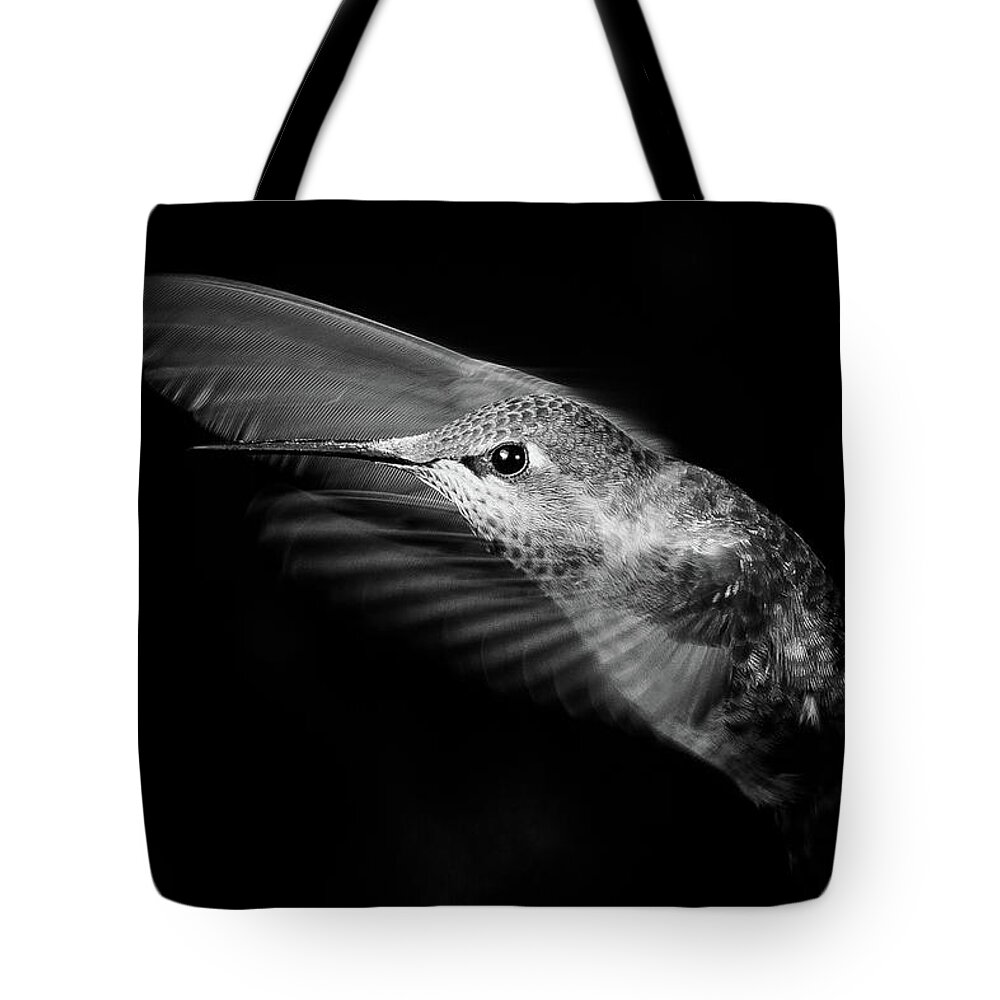 Animal Tote Bag featuring the photograph Silver Splendor by Briand Sanderson
