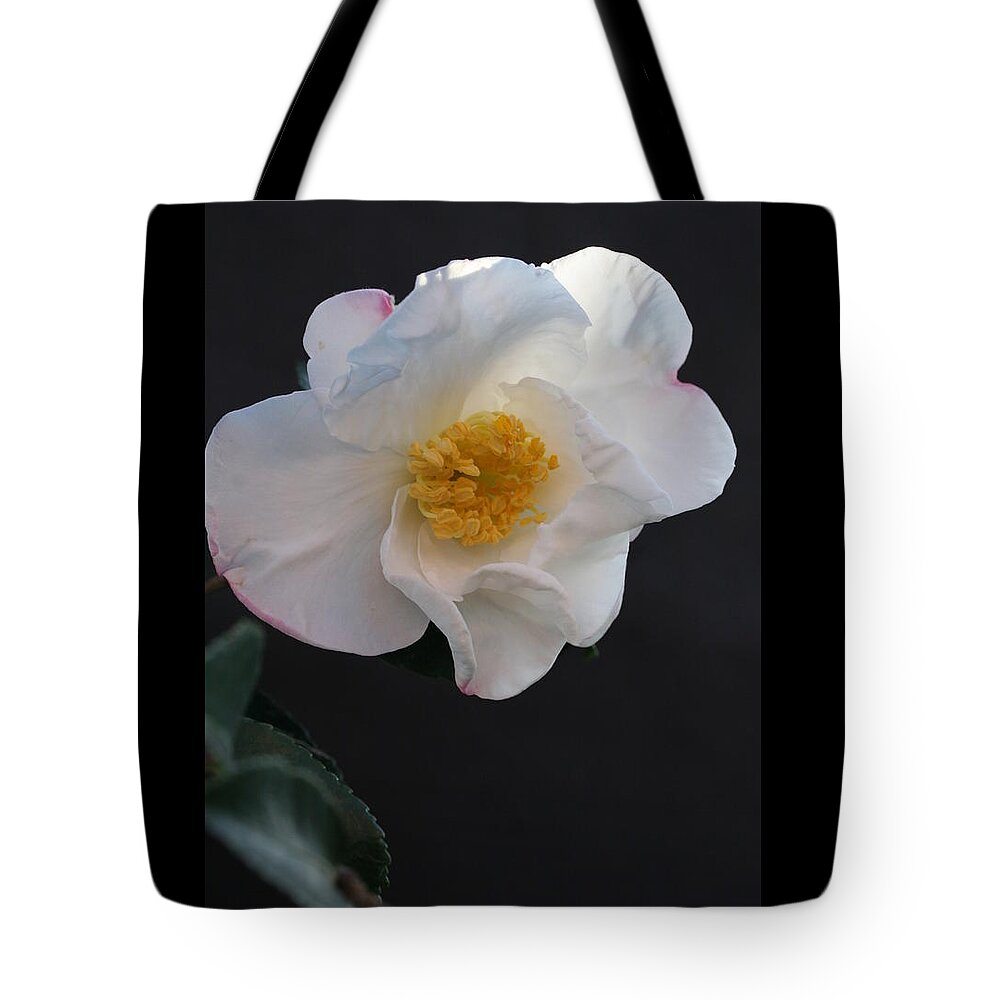 Camellia Tote Bag featuring the photograph Silver Waves Camellia by Tammy Pool