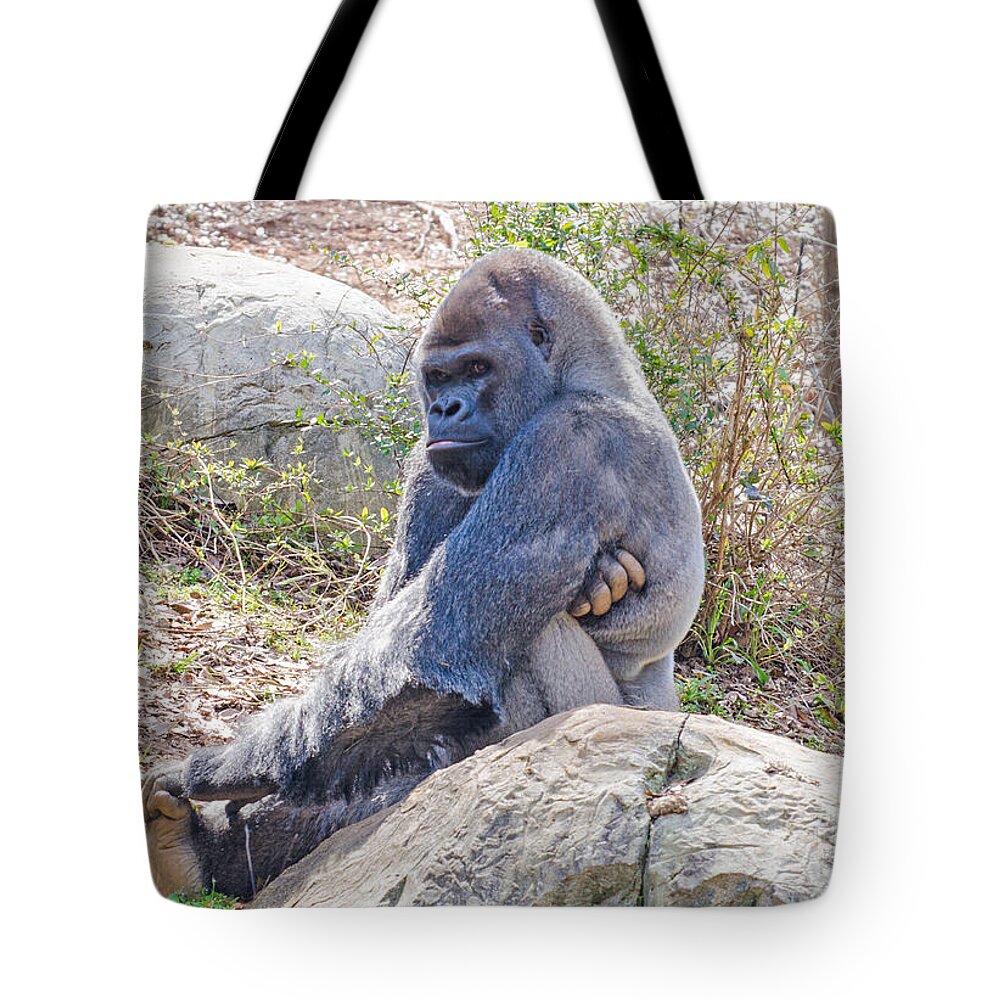 Animal Tote Bag featuring the photograph Silverback Gorilla by Donna Brown