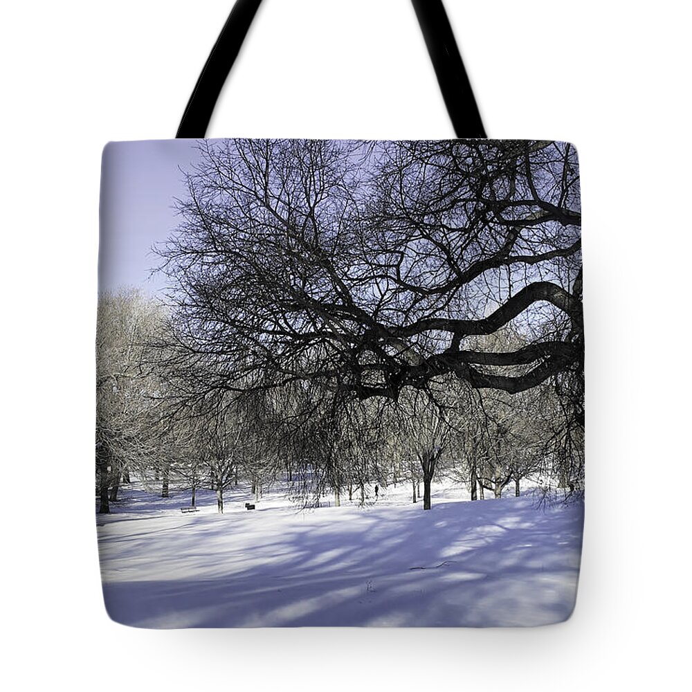 Winter Tote Bag featuring the photograph Silvery Blue Winter by Onedayoneimage Photography