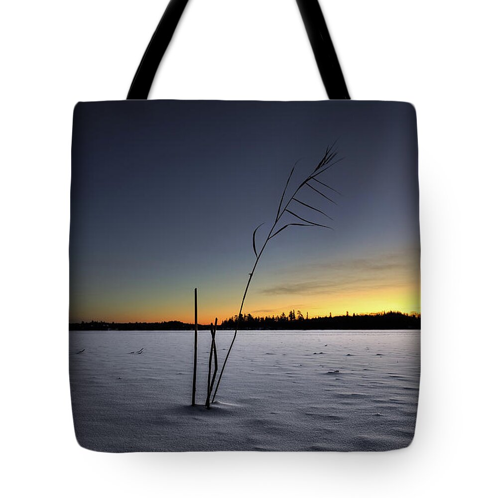 Art Tote Bag featuring the photograph Simple by Jakub Sisak