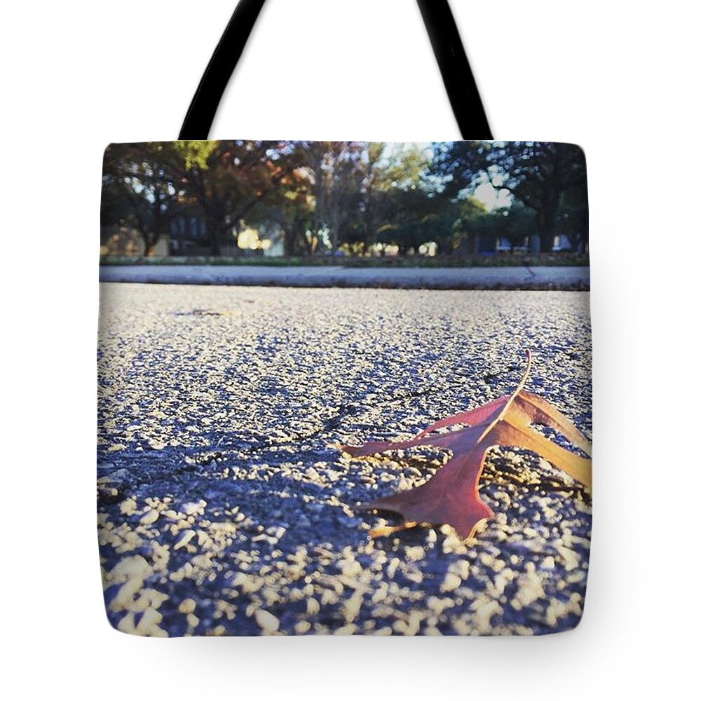 Adventuresofdevinworkman Tote Bag featuring the photograph Simple Leaf On The Road! by Devin Workman
