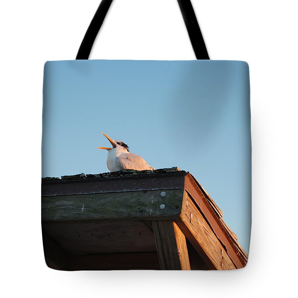 Singing Bird Tote Bag featuring the photograph Singing Her Heart Out by Judy Swerlick