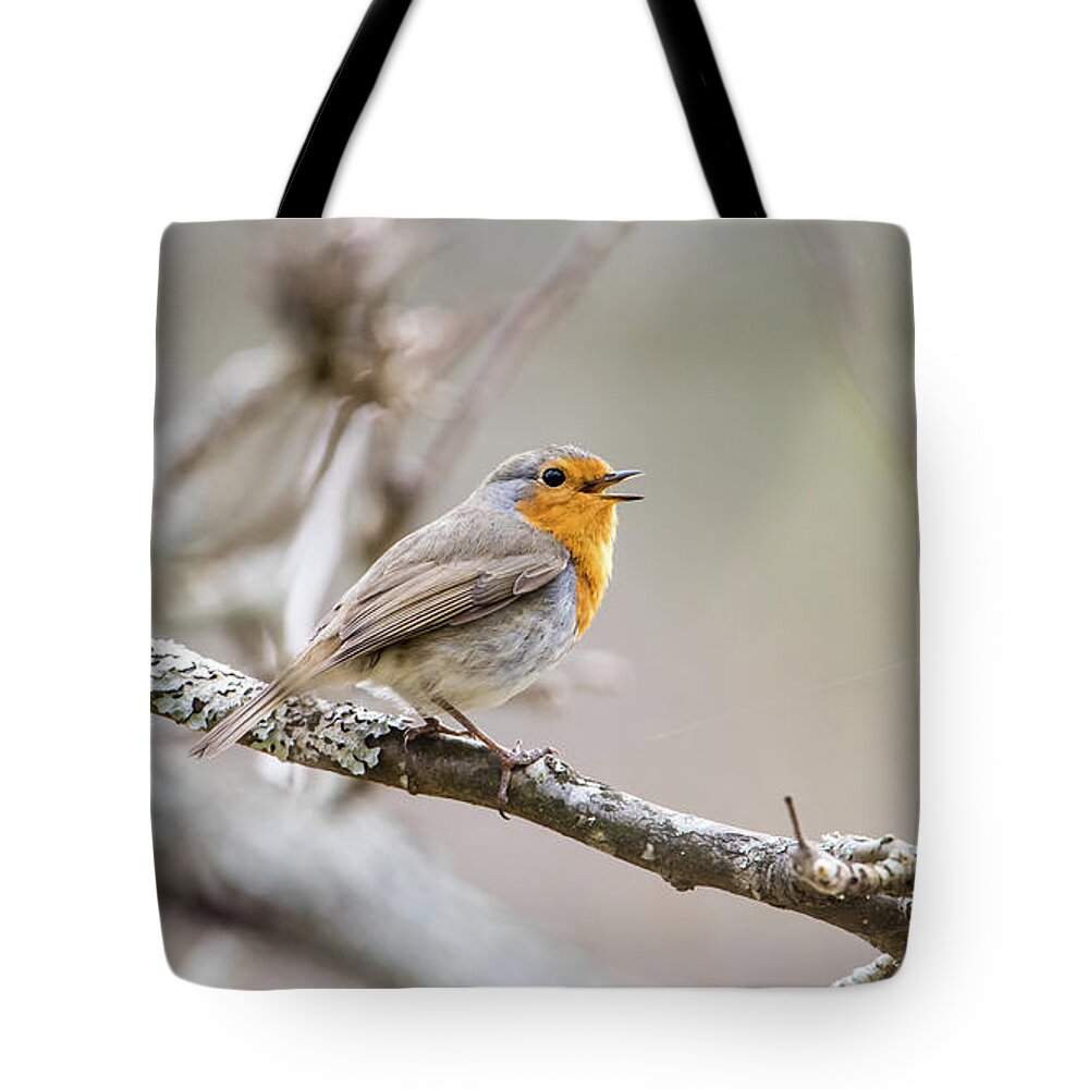 Singing Robin Tote Bag featuring the photograph Singing Robin by Torbjorn Swenelius