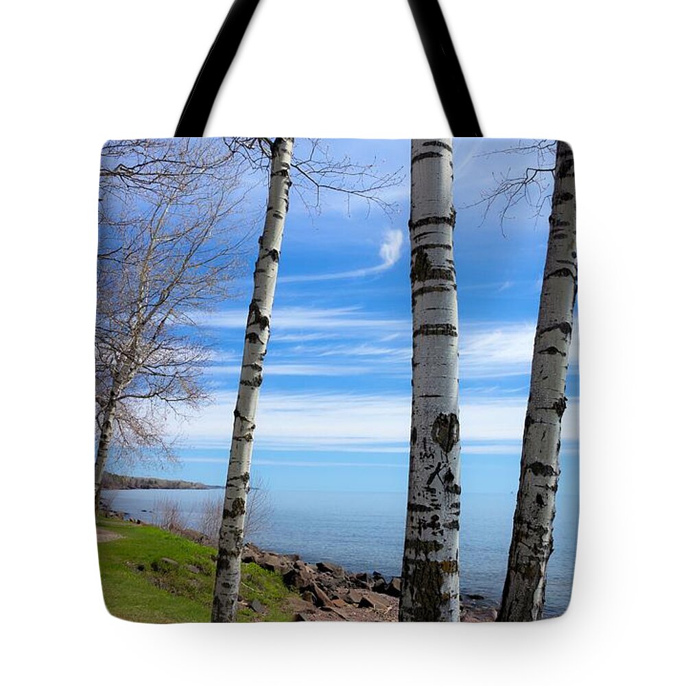 Blue Tote Bag featuring the photograph Singing the Blues by Mary Amerman