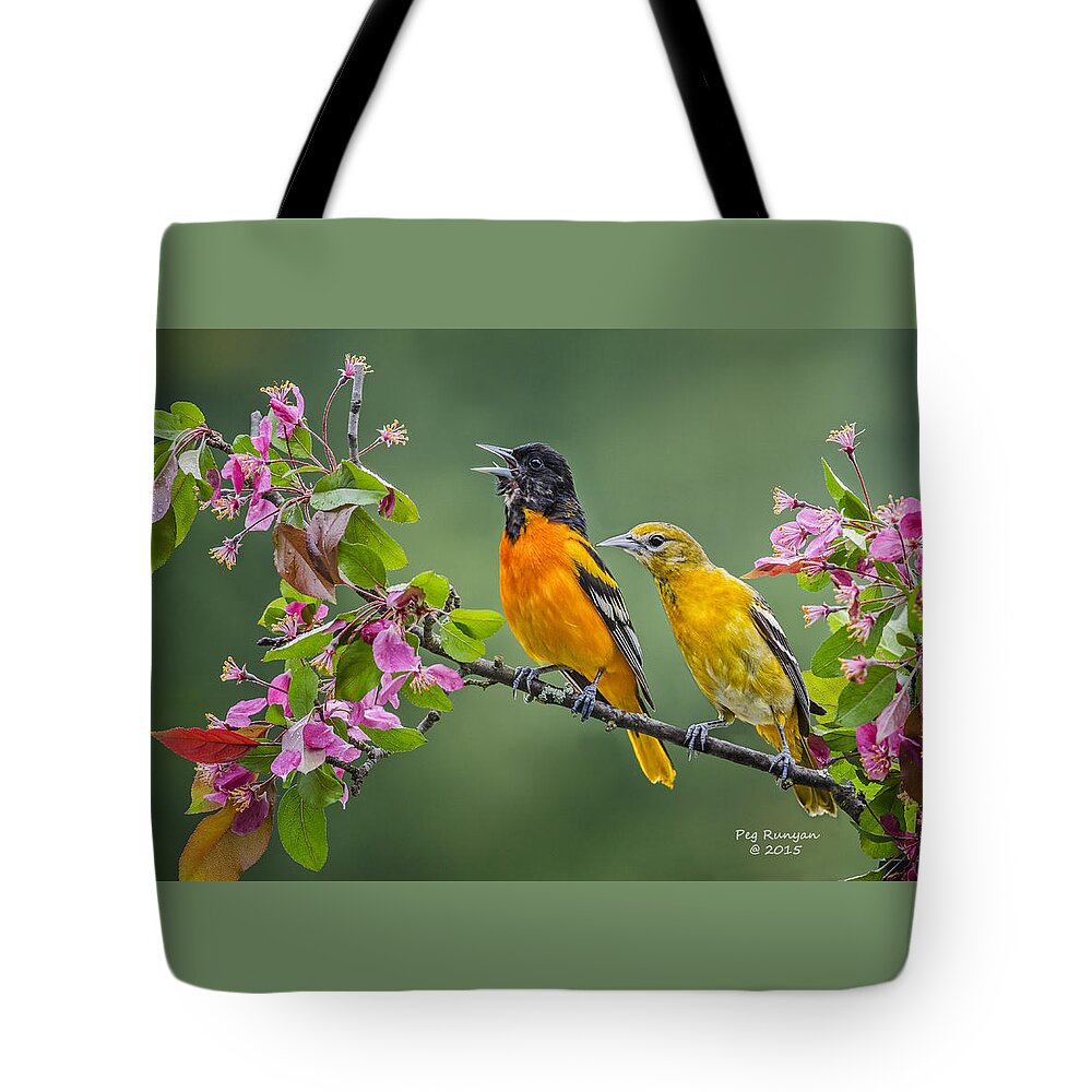 Baltimore Orioles Tote Bag featuring the photograph Singing to the Mrs. by Peg Runyan