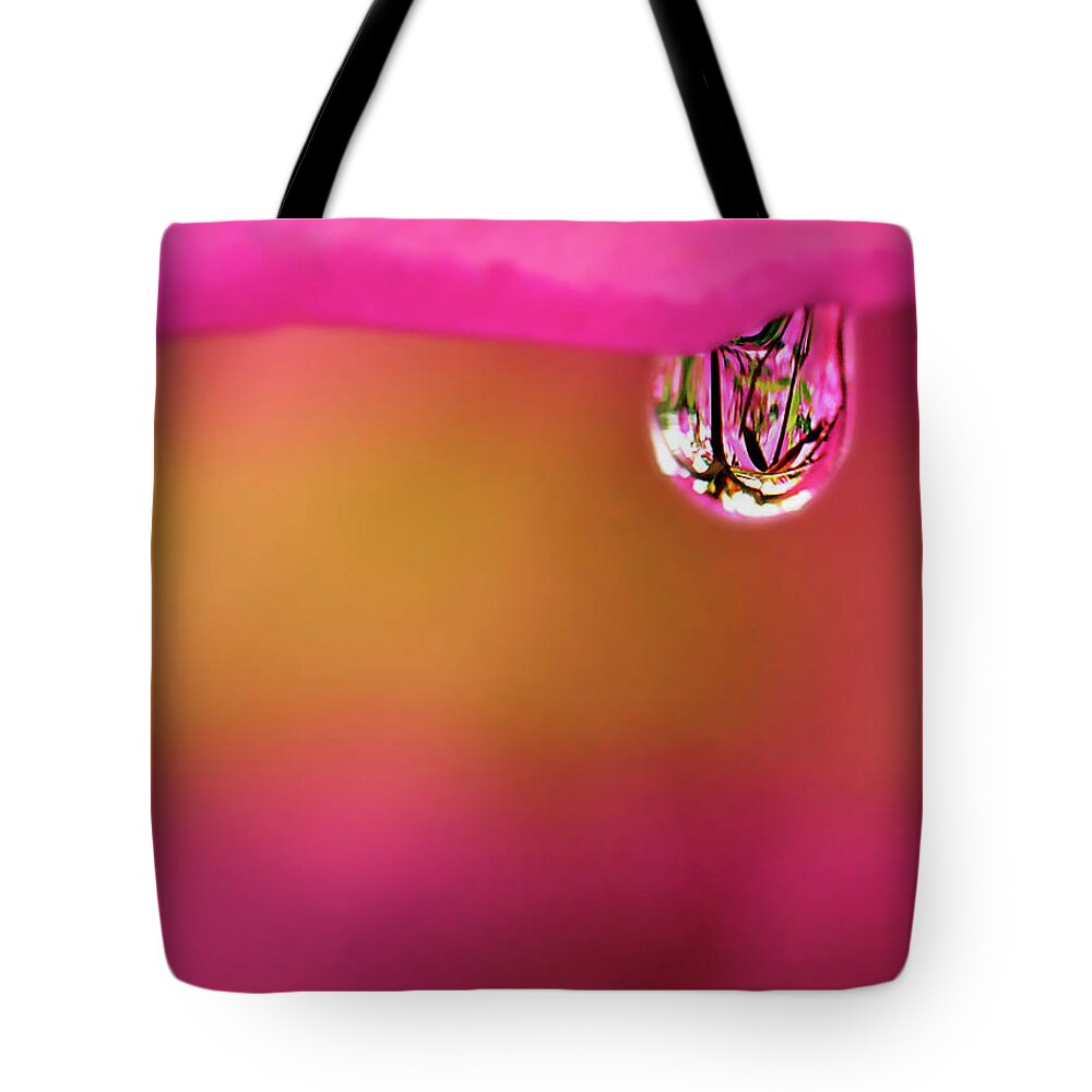 Plant Tote Bag featuring the photograph Single Drop by Crystal Wightman