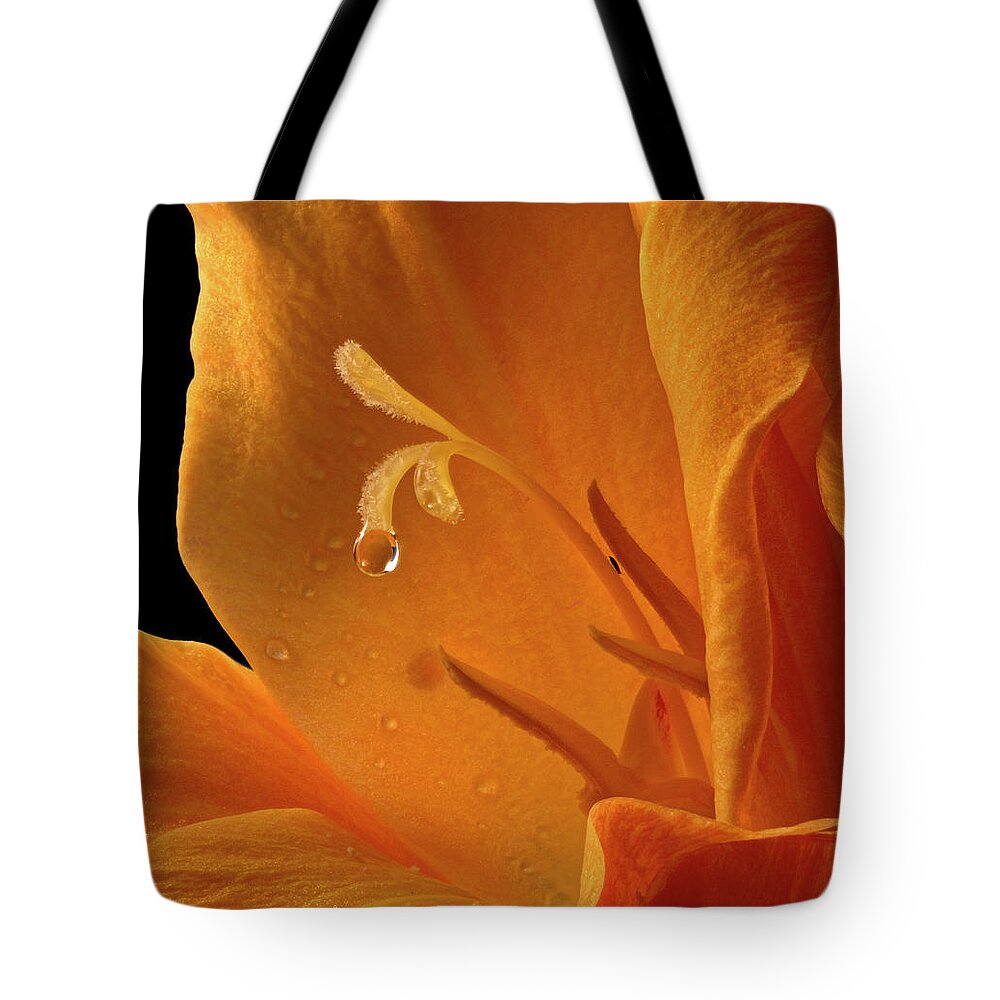 Jean Noren Tote Bag featuring the photograph Single Drop by Jean Noren