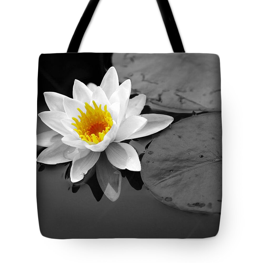 Lily Pad Pond Water White Flower Photograph Photography Digital Art Manipulated Photography Tote Bag featuring the photograph Single Lily by Shari Jardina
