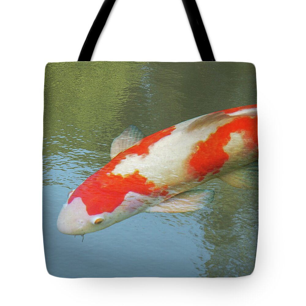 Fish Tote Bag featuring the photograph Single Red and White Koi by Gill Billington