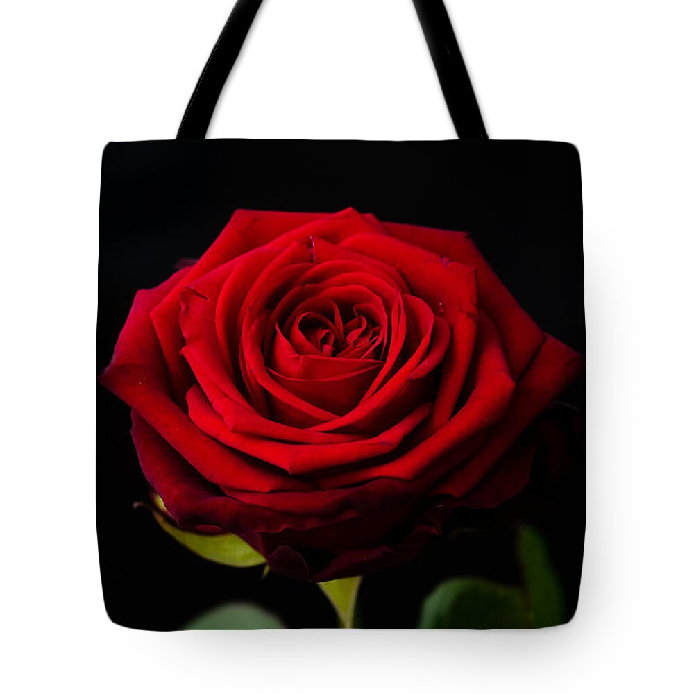 Rose Tote Bag featuring the photograph Single Rose by Miguel Winterpacht