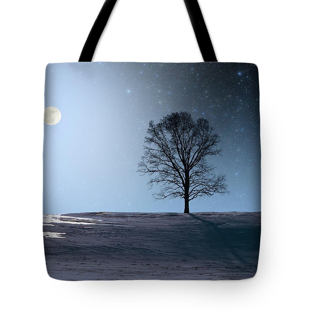 Science Tote Bag featuring the photograph Single Tree in Moonlight by Larry Landolfi