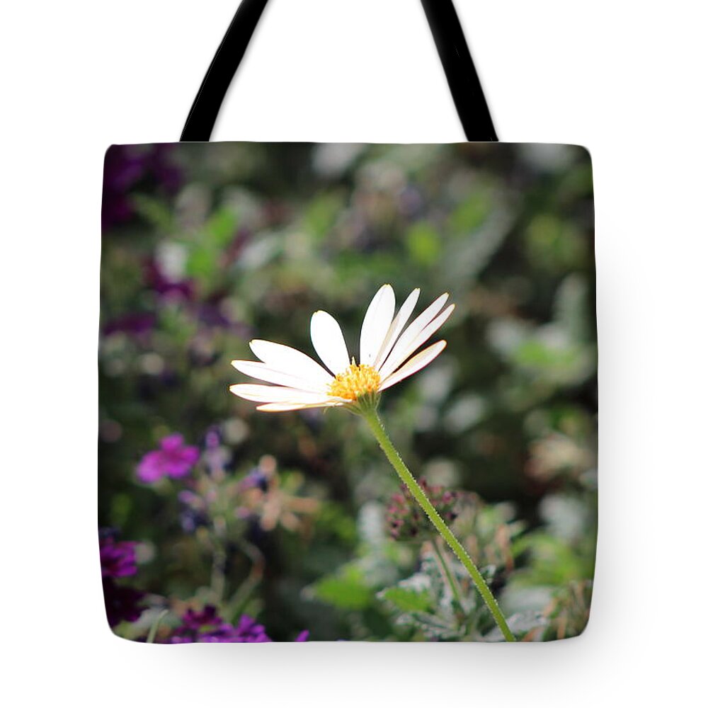 California Desert Tote Bag featuring the photograph Single White Daisy on Purple by Colleen Cornelius