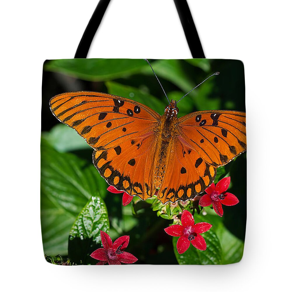 Wildlife Tote Bag featuring the photograph Sipping Gulf Fritillary by Kenneth Albin