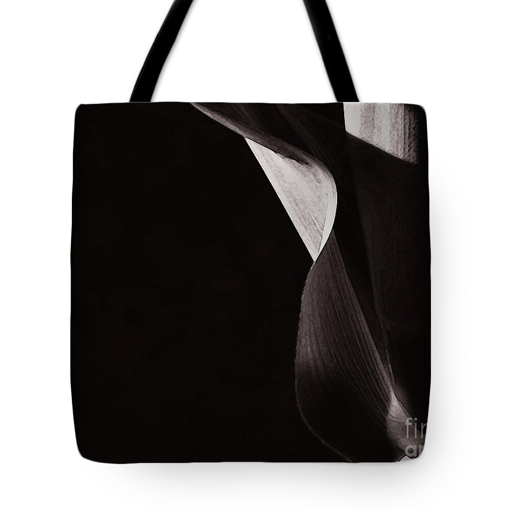 Corn Tote Bag featuring the photograph Sister Corn by Linda Shafer