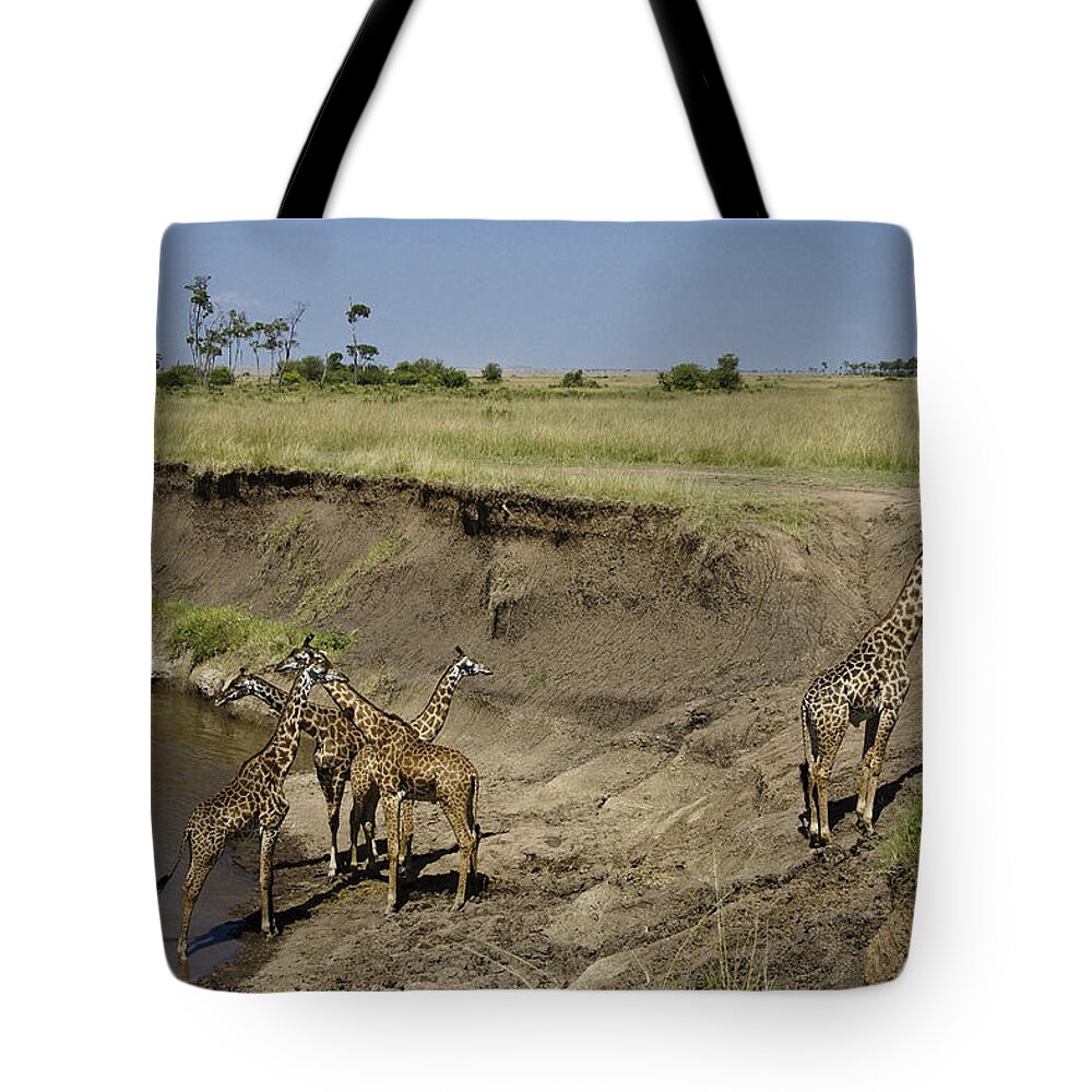 Africa Tote Bag featuring the photograph Six is a Crowd by Michele Burgess