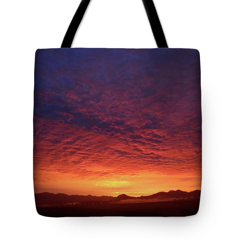  Tote Bag featuring the photograph Skagit Valley Washington 2009 by Leizel Grant