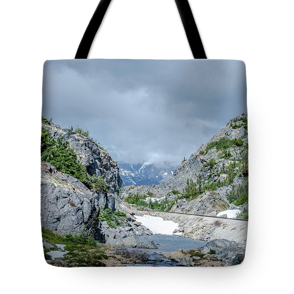  Landscape Tote Bag featuring the photograph Skagway Alaska by Jaime Mercado
