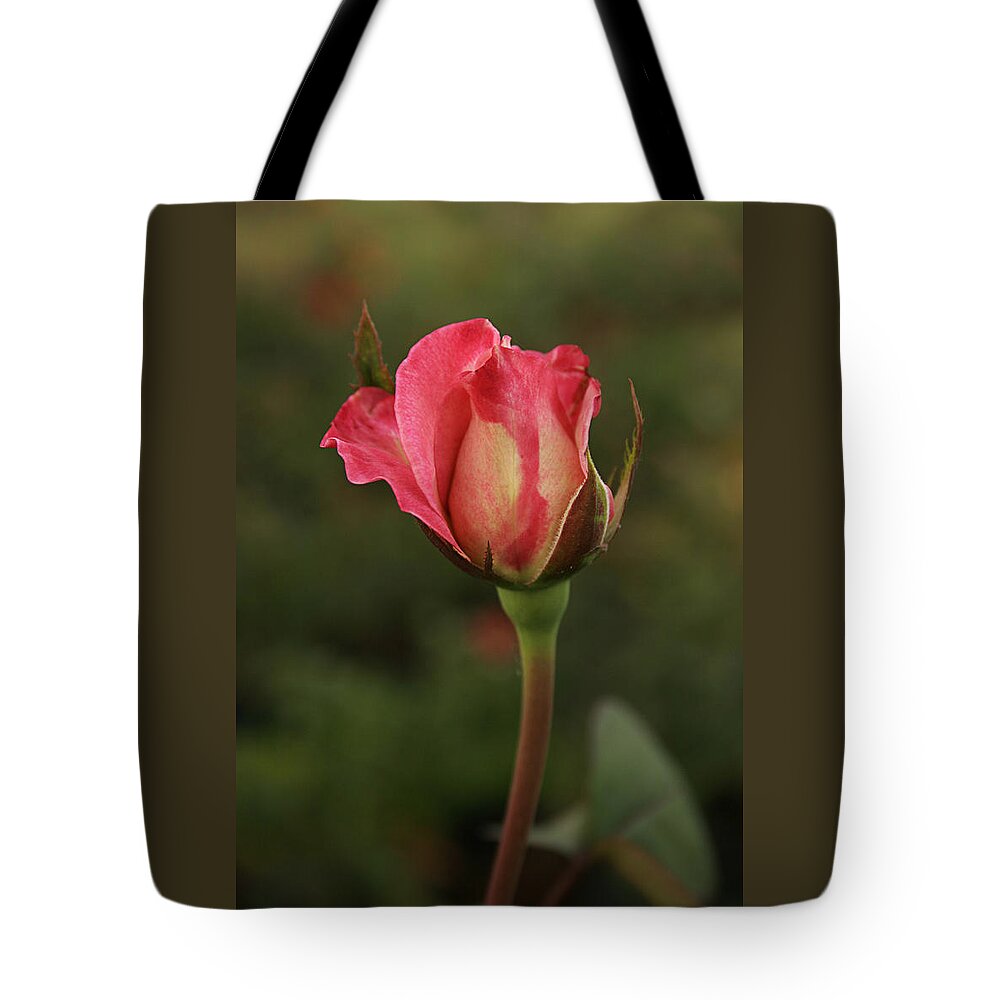 Elegant Tote Bag featuring the photograph SKC 0423 An Elegant Blossom by Sunil Kapadia