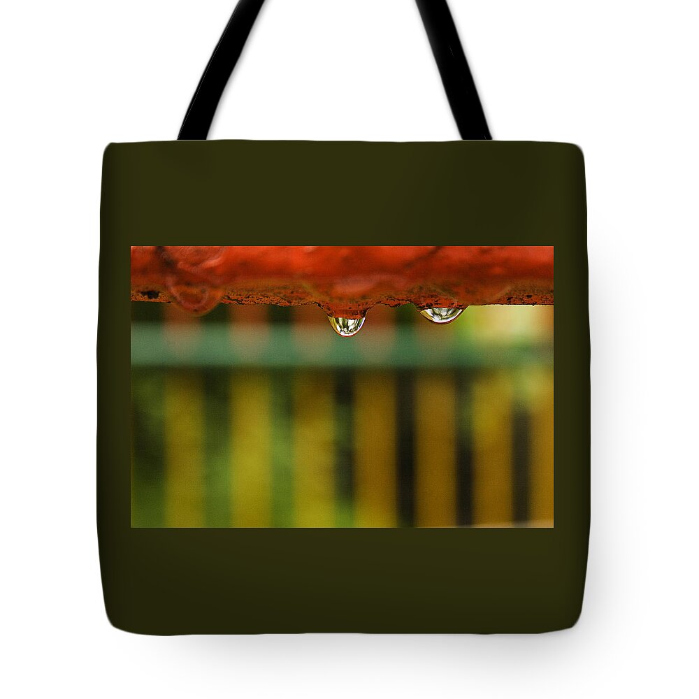 Drop Tote Bag featuring the photograph SKC 3263 Will they drop? by Sunil Kapadia