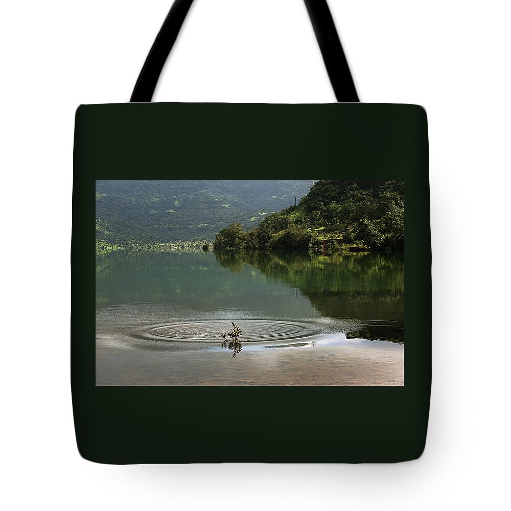 Edge Tote Bag featuring the photograph SKC 3996 At The Edge of a Circle by Sunil Kapadia