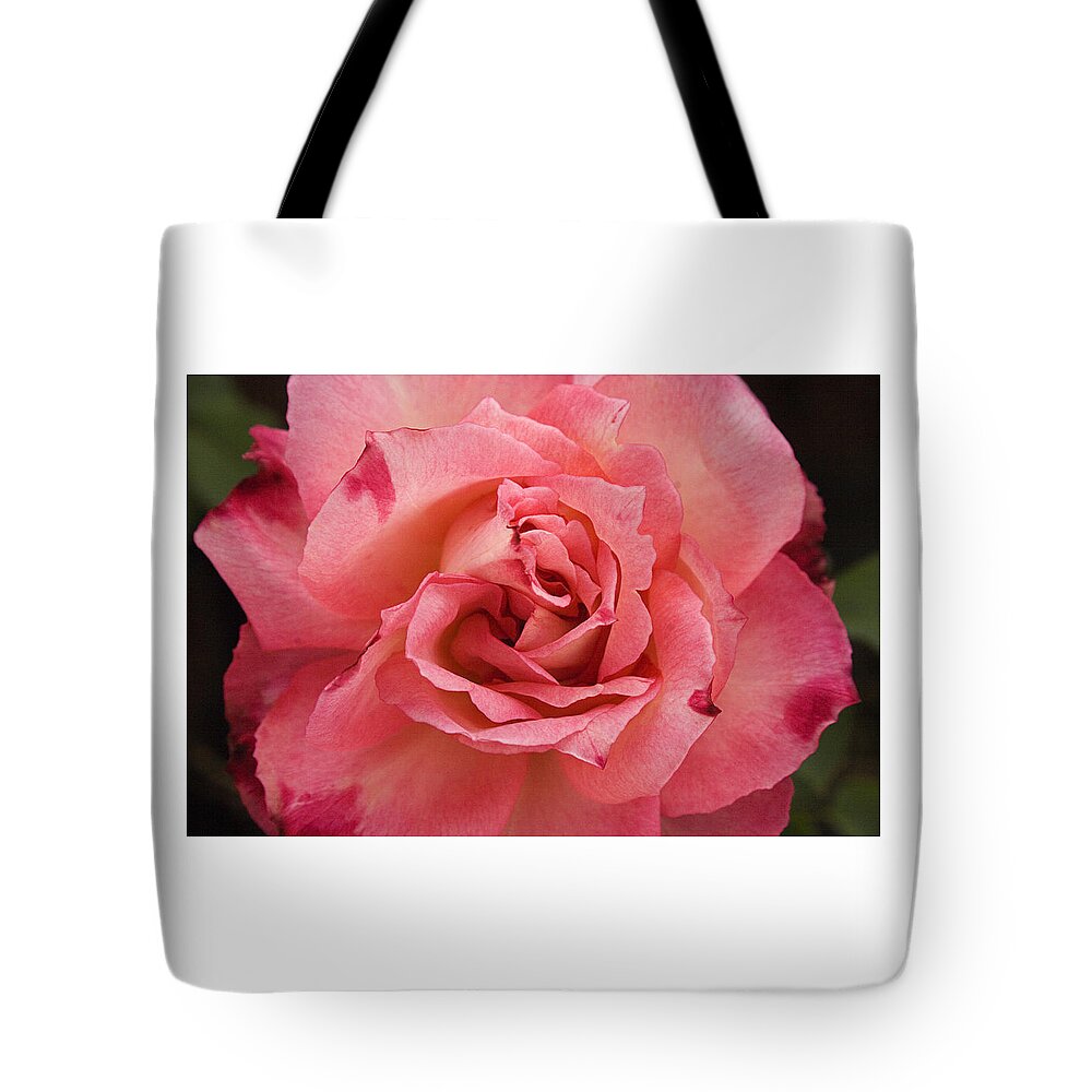 Pink Tote Bag featuring the photograph SKC 4942 Pink Harmony by Sunil Kapadia