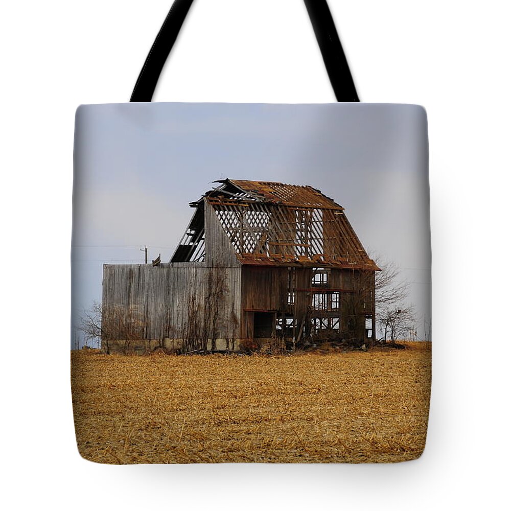 Barn Tote Bag featuring the photograph Skeleton by David Arment