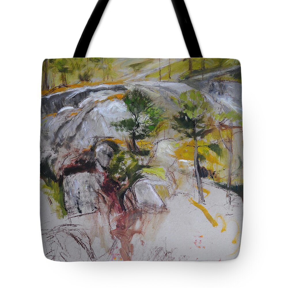 Landscape Tote Bag featuring the painting Sketch for Ogwen painting by Harry Robertson