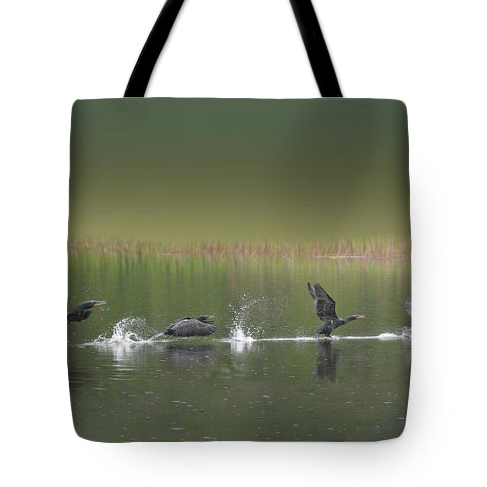 Double Tote Bag featuring the photograph Skimming On Top by Vivian Martin