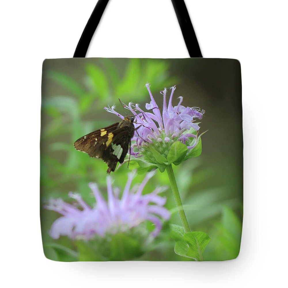 Skipper Tote Bag featuring the photograph Skipper on Bee Balm - Butterfly by MTBobbins Photography