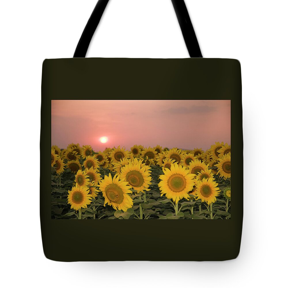 Sun Tote Bag featuring the photograph SKN 2179 Sunflower Landscape by Sunil Kapadia