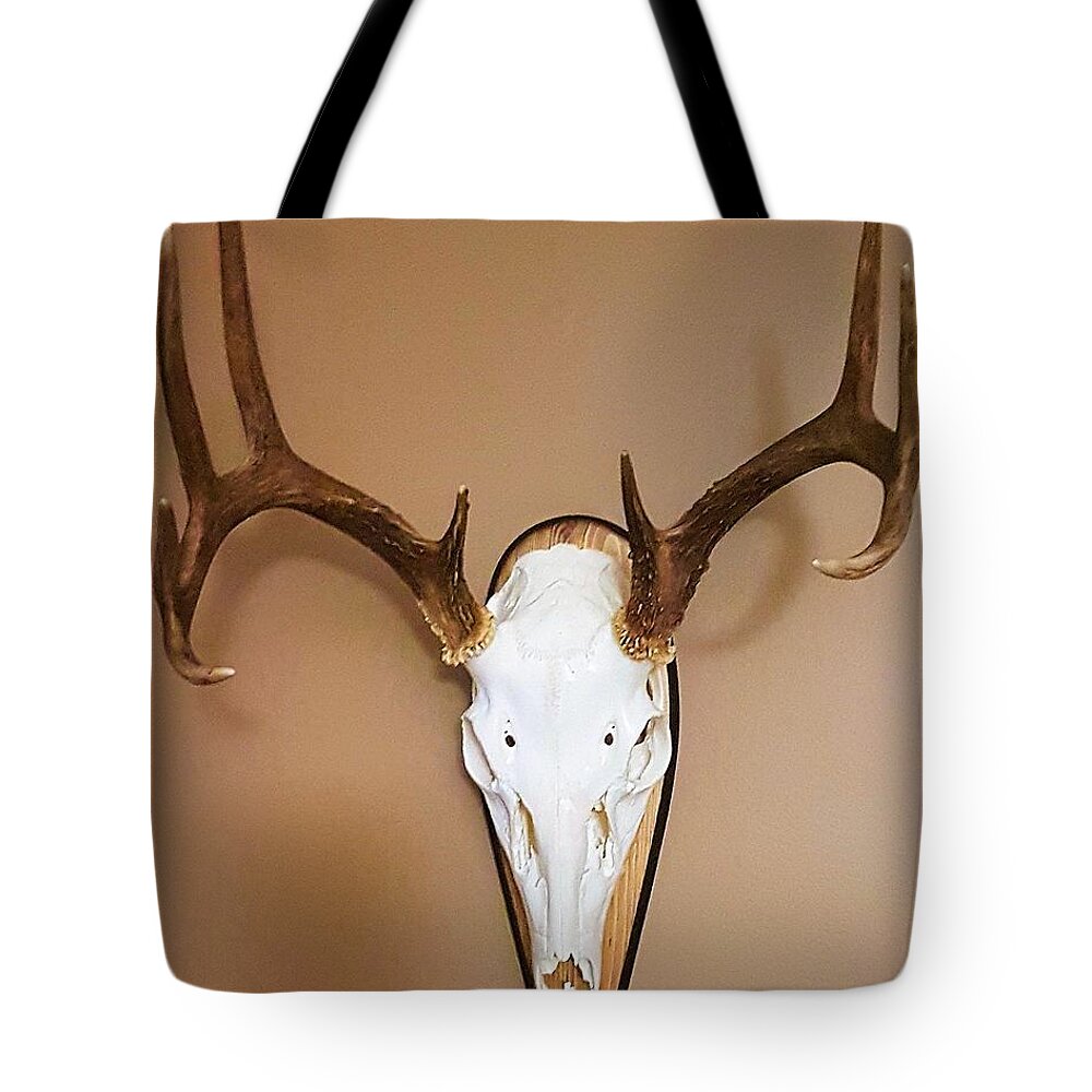 Deer Tote Bag featuring the photograph Skull by Brianna Kelly