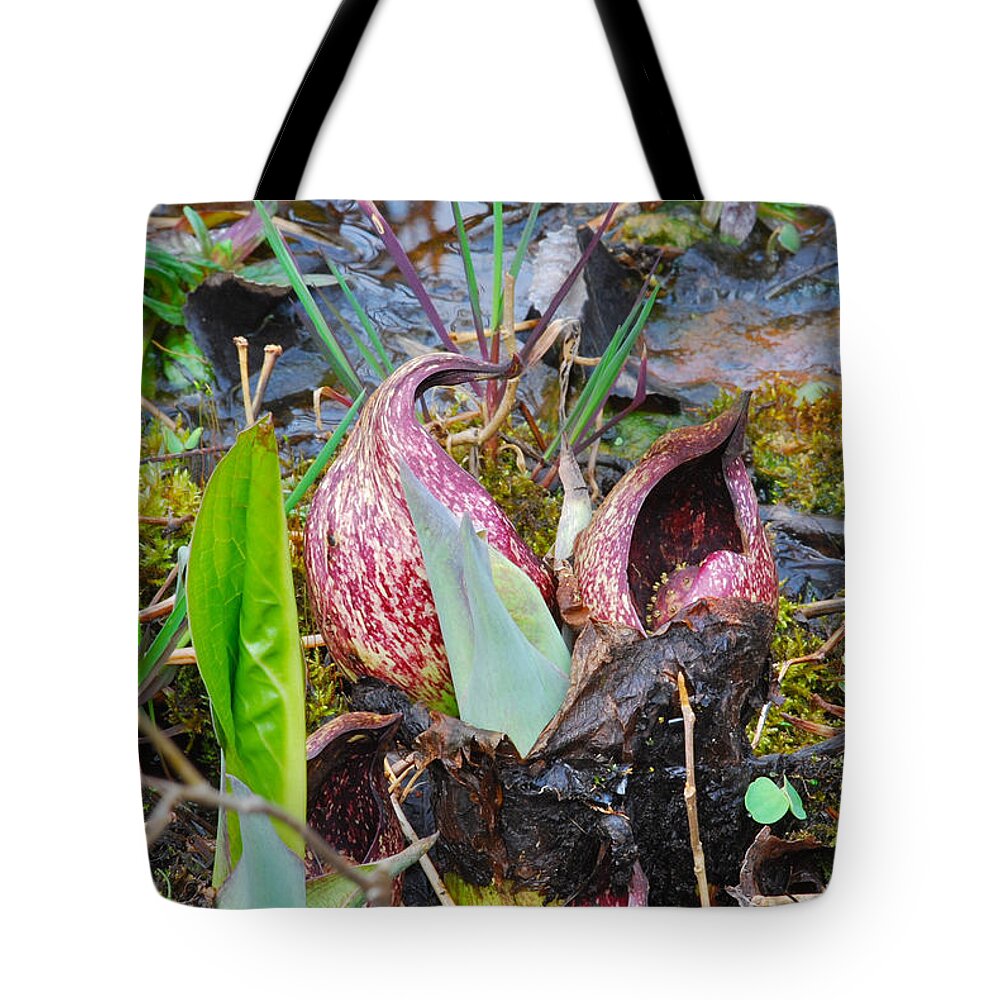 Skunk Cabbage Tote Bag featuring the photograph Skunk Cabbage 2801 by Michael Peychich