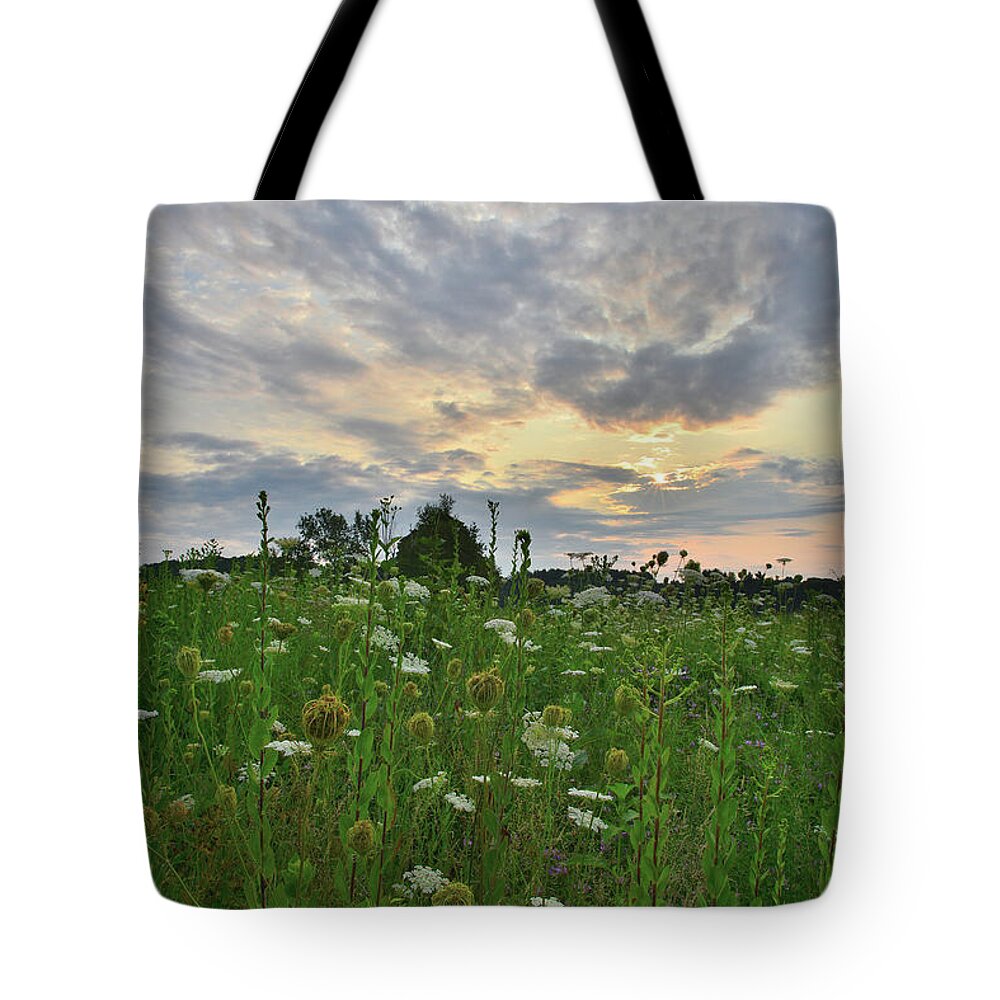 Sunflowers Tote Bag featuring the photograph Sky Opens Up Over Pleasant Valley Conservation Area by Ray Mathis